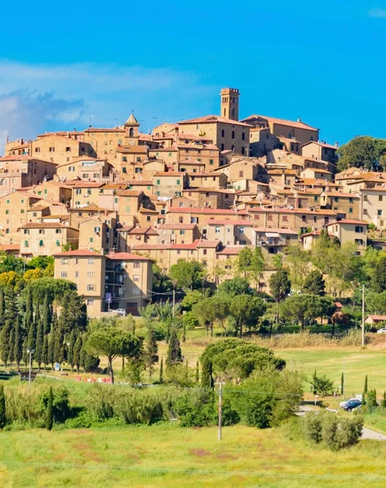 Bolgheri Day Tour