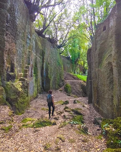 Cerveteri day tour