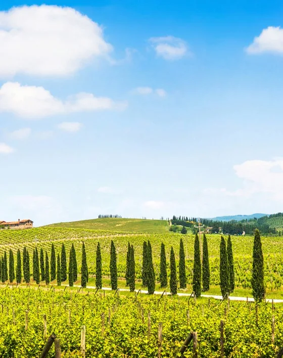 Chianti Wine Shore Excursion