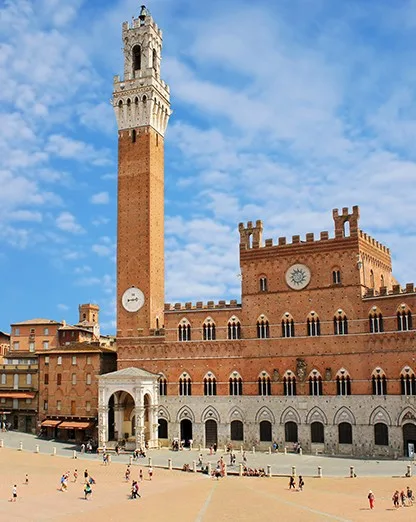 Siena Shore