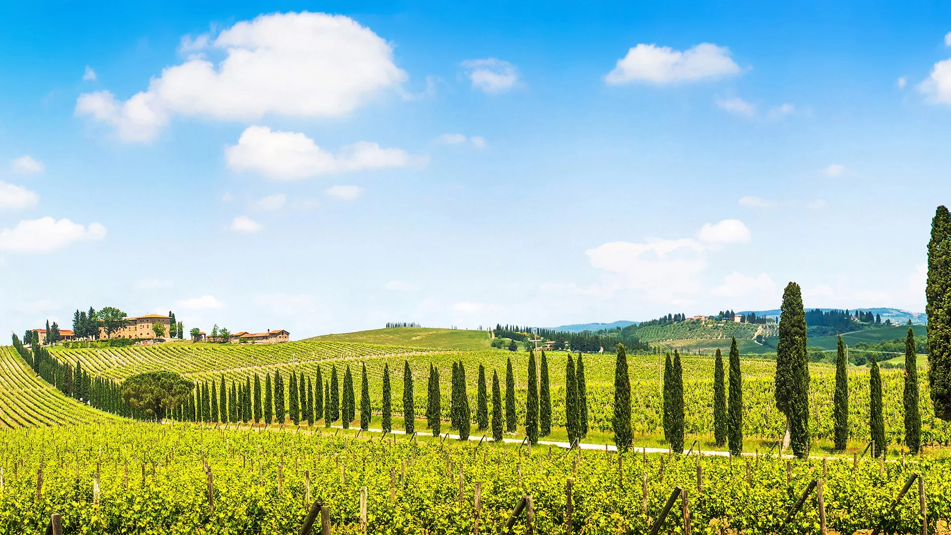 Chianti