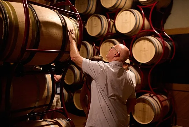 Bolgheri tour